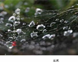 月刊写真俳句-2011年冬号