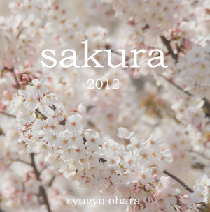 sakura 2012