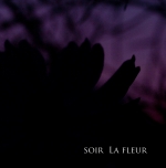 soir La fleur