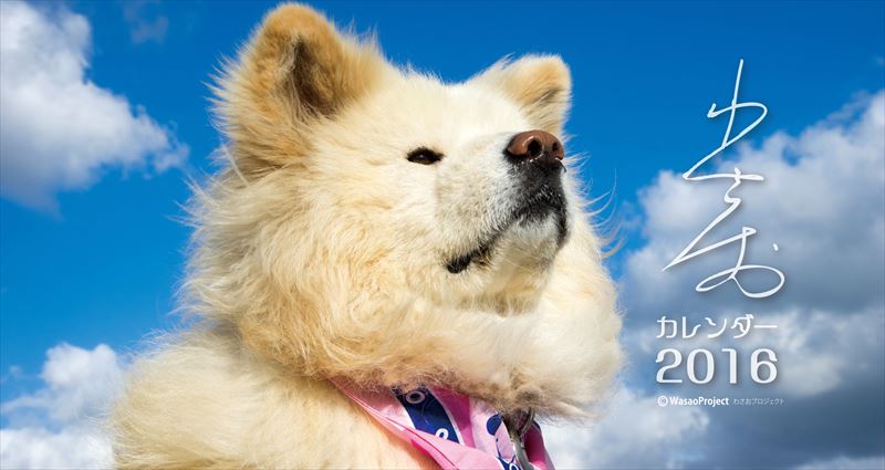 16年版 わさお卓上カレンダー カレンダーの無料出版マーケットパブリマ