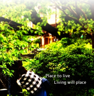 Place to live　Living will place