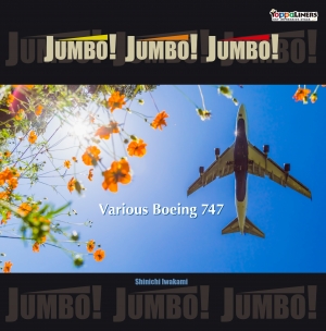 JUMBO! JUMBO! JUMBO!　Various Boeing 747