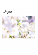 Light