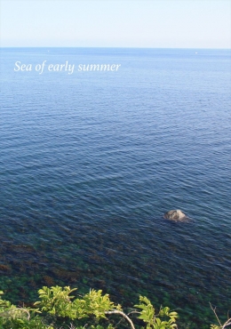 Sea of early summer