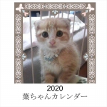 2020葉ちゃん