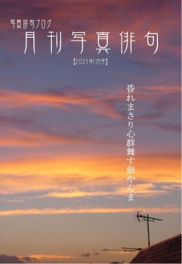月刊写真俳句-2021年11月号