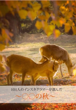 101人のインスタグラマーが選んだ～○○の秋～＿ソフト版