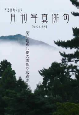 月刊写真俳句-2022年7月号