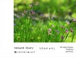 nature story