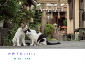 大阪下町Cats+