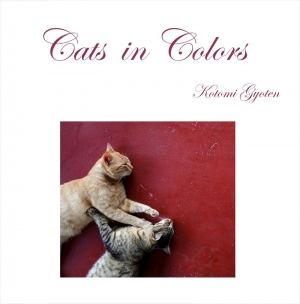 Cats in Colors