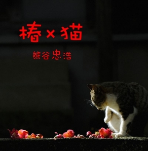 椿×猫