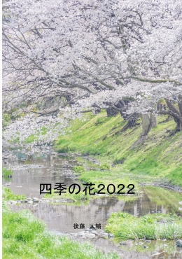 四季の花2022