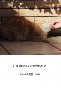 いえ猫になるまでの20か月