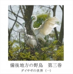 備後地方の野鳥 第三巻 ダイサギの世界　(一)