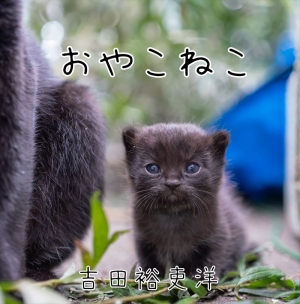 おやこねこ