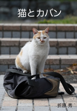 猫とカバン