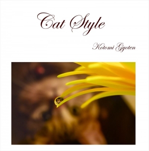 Cat Style