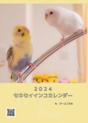 セキセイインコカレンダー　2024