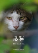 ワル猫カレンダー2024