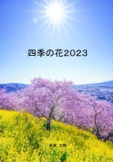 四季の花2023