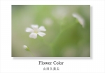 「Flower Color」(2014年) ダイジェスト版 A5横(24P)