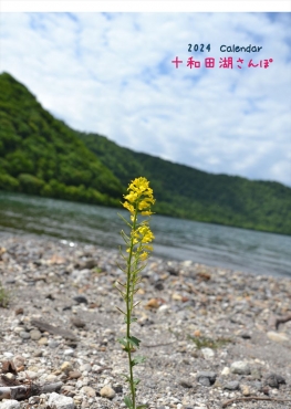 十和田湖さんぽ　2024　カレンダー