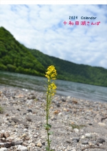 十和田湖さんぽ 2024 カレンダー