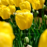 spring outing