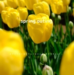 spring outing差し替え版