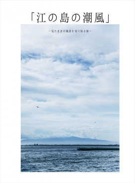 江の島の潮風