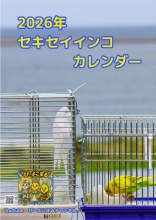 ぴーよこまる2026年カレンダー