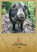 2026 交流猫動画 A3壁掛けカレンダーイノシシ