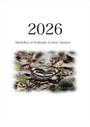 Butterflies of Hokkaido in Early Summer