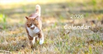 26猫カレンダー