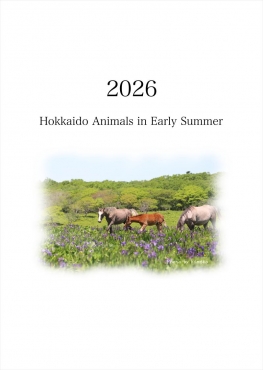 Hokkaido Animals in Early Summer