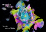 Tsuruko soro exhibition Mysterious Flowers