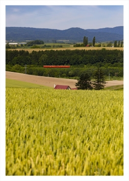 JR北海道 キハ４０カレンダー２０２６