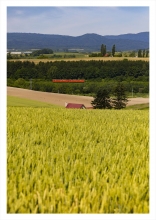 JR北海道 キハ40カレンダー2026