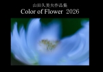 Color of Flower 2026