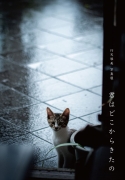 『君はどこからきたの』写真展図録
