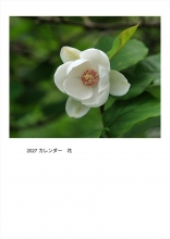 花2026-10-21 22.42.56